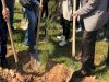 5 milyon 2023 fidan toprakla buluşturulacak!