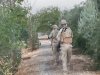 Şanlıurfa'da terör operasyonu! Çok sayıda tutuklama 