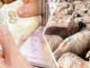 Bakanlıktan 6 milyon 225 bin TL'lik destek
