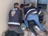 Şanlıurfa merkezli dolandırıcılık operasyonu! 29 tutuklama