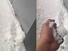 Şiddetli dolu yağışı Akçakale'yi beyaza bürüdü