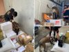 Şanlıurfa'da uyuşturucu ile mücadele devam ediyor! 