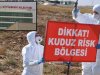 Urfa'da Kuduz Vakası! Bir Mahalle Karantinaya Alındı