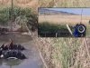 Traktörü İle Gölete Düşen Şahıs Boğuldu!