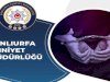 Urfa'da Düğün Konvoyunda Havaya Ateş Açan Şahıslar Yakalandı!