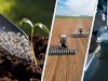 Destekleme Ödemesi Hesaplara Aktarılıyor