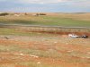 Viranşehir’de Hayvan Bakımevi İnşaatı Başladı