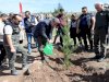 AK Parti İl Teşkilatı Fidan Dikimi Gerçekleştirdi
