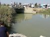 Urfa'da Sulama Kanalında Bir Genç Kayıp, Bir Genç Kurtarıldı