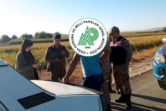 Urfa'da kaçak avcılara ceza yağdı! 
