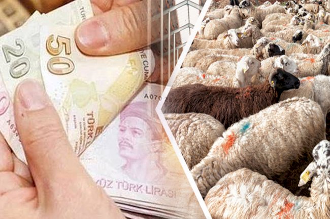 Bakanlıktan 6 milyon 225 bin TL'lik destek