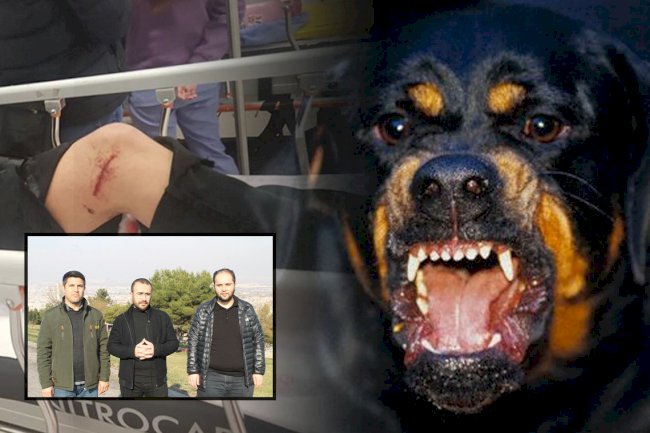 HÜDA PAR, başıboş köpek sorununu gündeme taşıdı