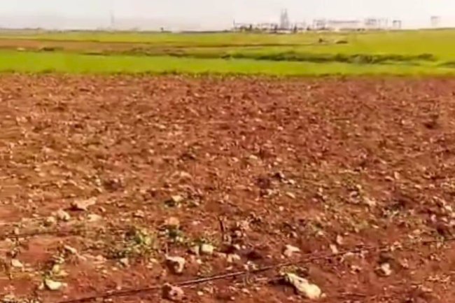 Hilvan'da şiddetli dolu çiftçiyi vurdu: Zarar büyük!