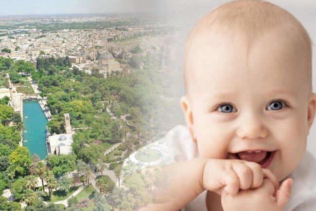 Şanlıurfa, Türkiye'de doğurganlıkta ilk sırada!
