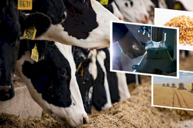 88 Milyon Liralık Destekleme Ödemesi Çiftçilerin Hesaplarına Aktarıldı