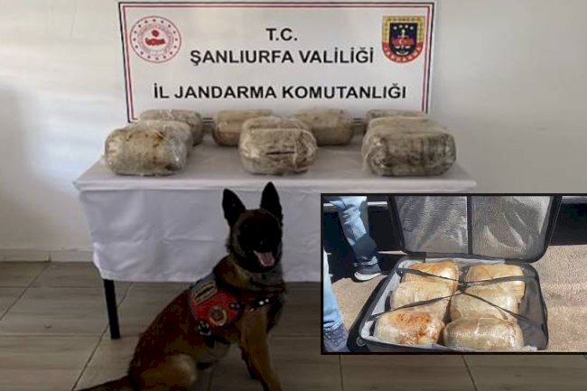 Şanlıurfa'ya Uyuşturucu Sevkiyatı Yapan Şahıs Yakalandı! 