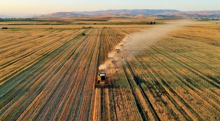 Bakan açıkladı! Çiftçilerin hesaplarına aktarıldı! 