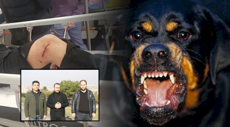 HÜDA PAR, başıboş köpek sorununu gündeme taşıdı
