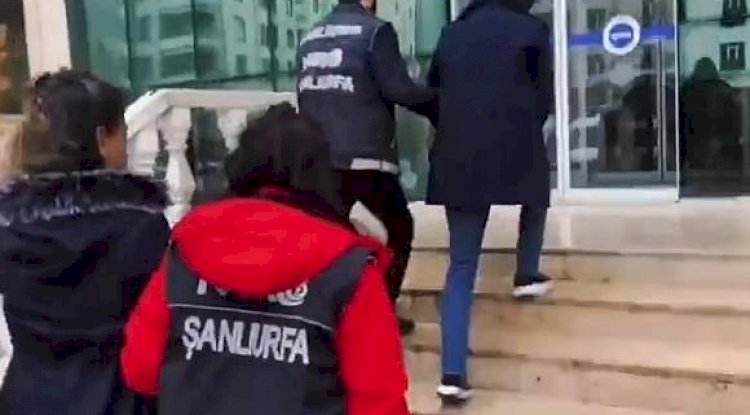 Urfa'da suç örgütüne operasyon! 12 gözaltı