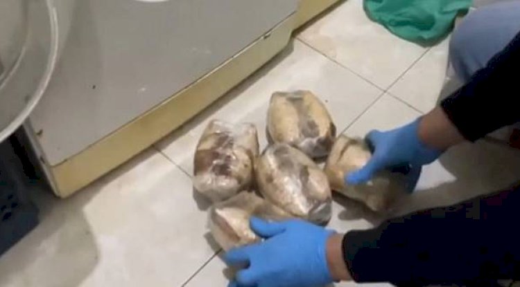 Şanlıurfa'da uyuşturucu imalatçılarına operasyon!
