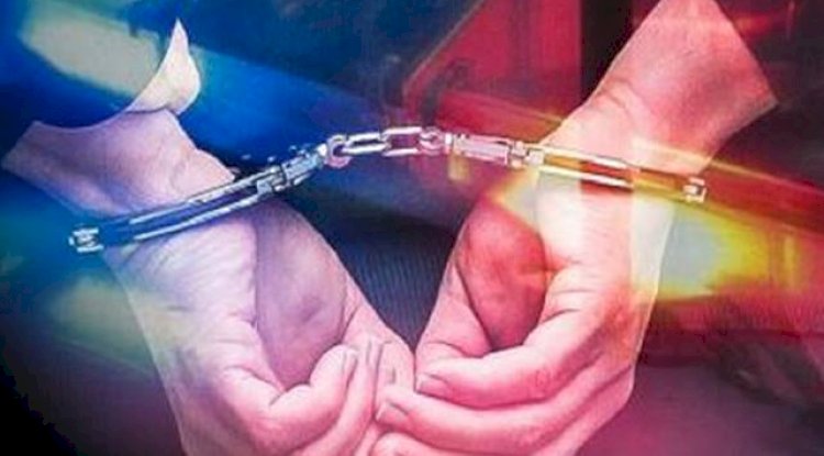 Urfa'da 344 kişi yakalandı! Cinayet, dolandırıcılık, hırsızlık ve yağma