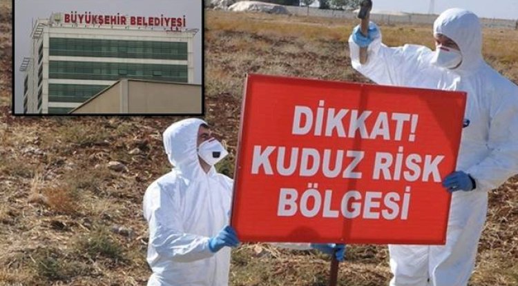 Urfa'da Kuduz Vakası! Bir Mahalle Karantinaya Alındı