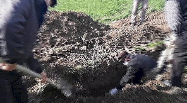 Urfa'da Kazada Ölen 5 Çocuk Yan Yana Defnedildi! 
