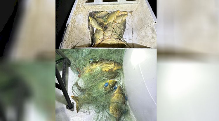 Şanlıurfa'da Kaçak Balık Avcıları Suçüstü Yakalandı!