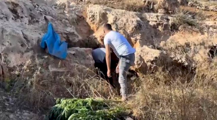 Şanlıurfa'da Uyuşturucu Operasyonu!