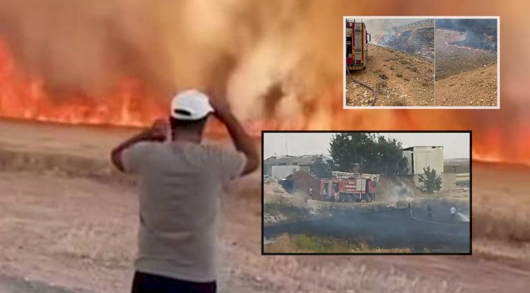Şanlıurfa'da Son 24 Saatte 92 Yangın Vakası: 4'ü Orman Yangını