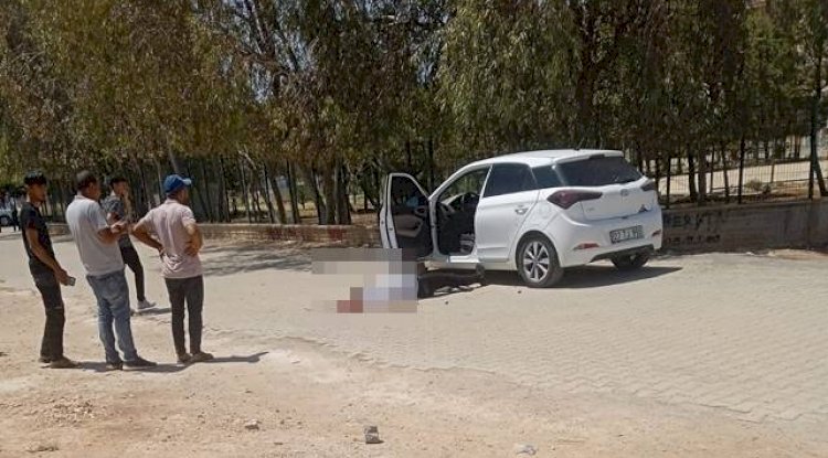 Viranşehir'de Kan Donduran Olay! Ölüler Ve Yaralılar Var