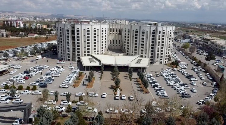Şanlıurfa Eğitim ve Araştırma Hastanesi'nde Zona Ağrısına Etkin Tedavi