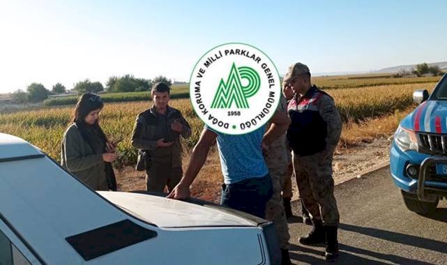 Urfa'da kaçak avcılara ceza yağdı!
