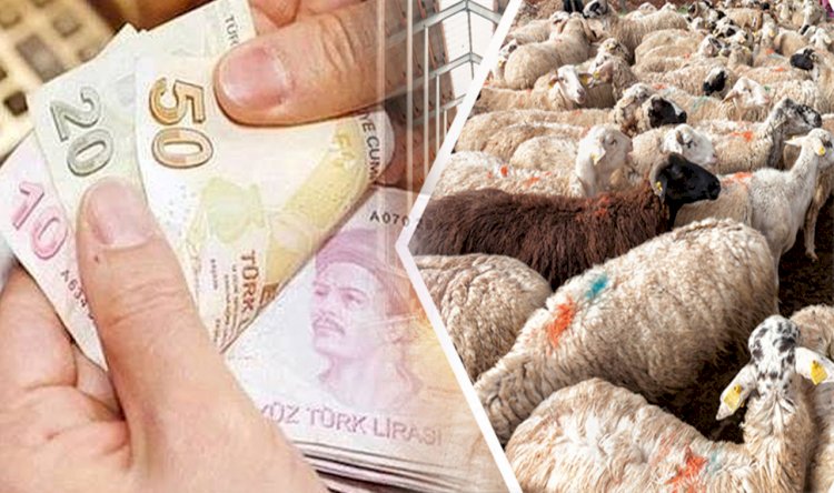 Bakanlıktan 6 milyon 225 bin TL'lik destek