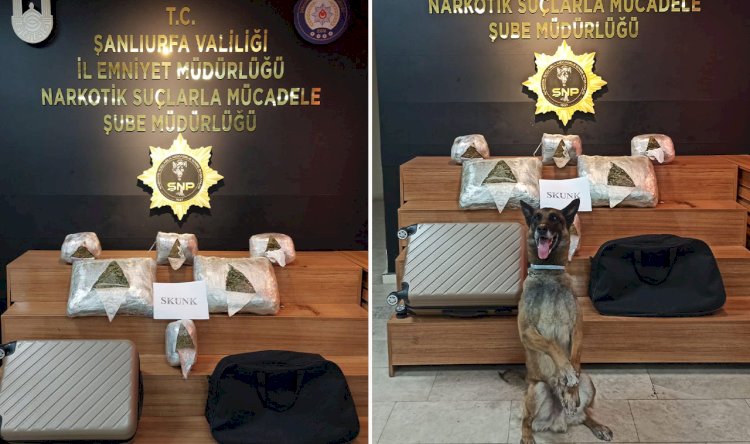 Şanlıurfa'da kilolarca uyuşturucu ele geçirildi!