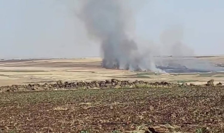 Urfa'da Ekili Tarlada Yangın Çıktı!