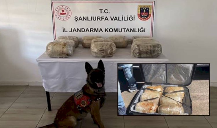 Şanlıurfa'ya Uyuşturucu Sevkiyatı Yapan Şahıs Yakalandı!