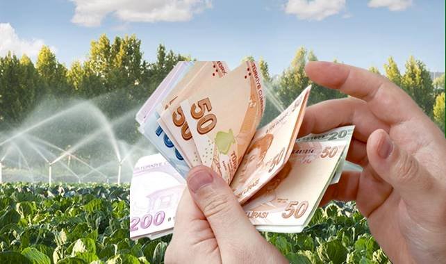 Destekleme Ödemesi Bugün Çiftçilerin Hesaplarına Aktarılıyor